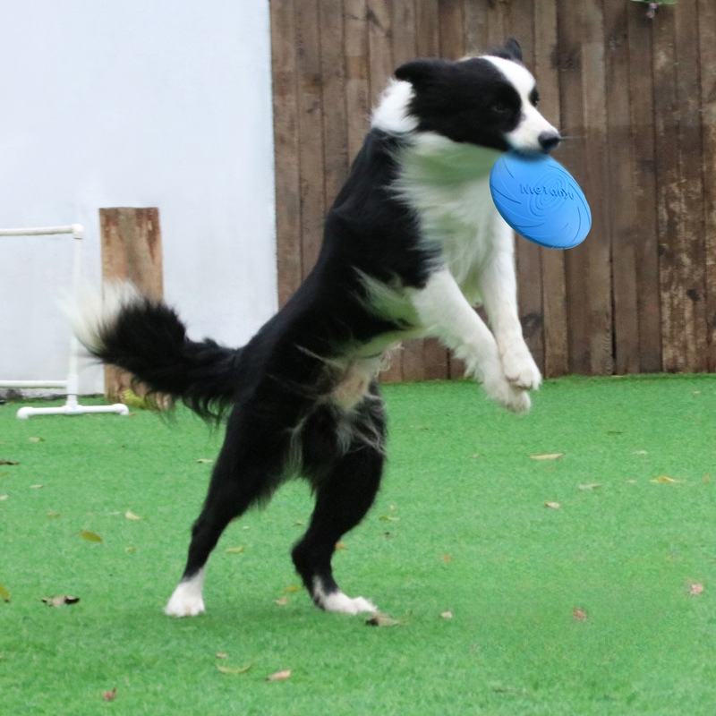 Frisbee Freestyle Disc - Köpek Frizbi, Sınır Bölgesi Hayvanı Evcil