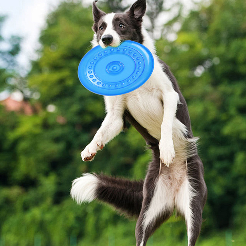 Dayanıklı Çiğnenebilir Evcil H - Frisbee Freestyle Disc incelemesi ve fiyatı